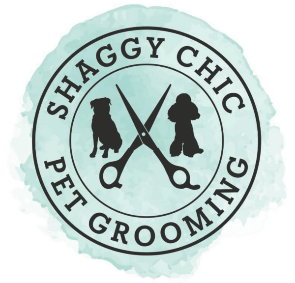 Shaggy Chic